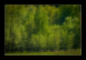 Metsa1 kehys 800px